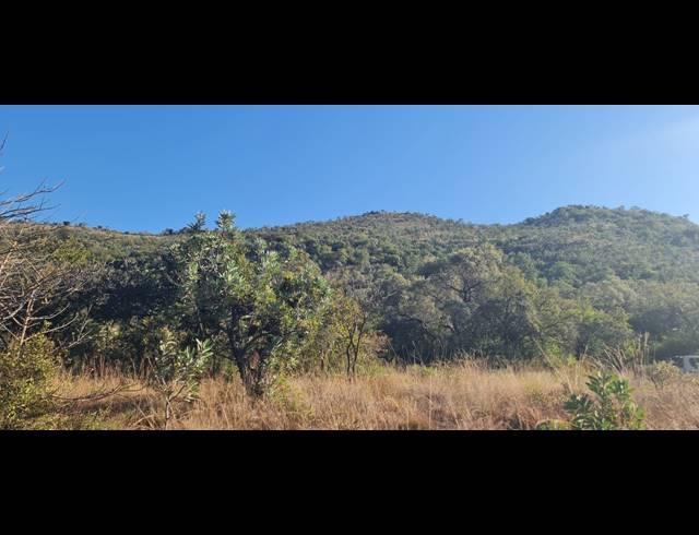 78HA VACANT LAND FOR SALE IN BUFFELSFONTEIN AH